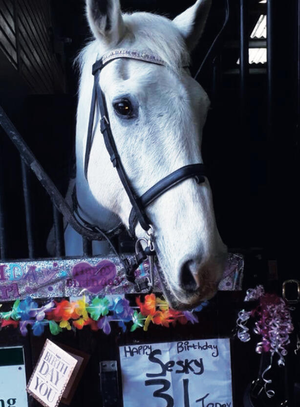 Sesky on her 31st birthday, 2017