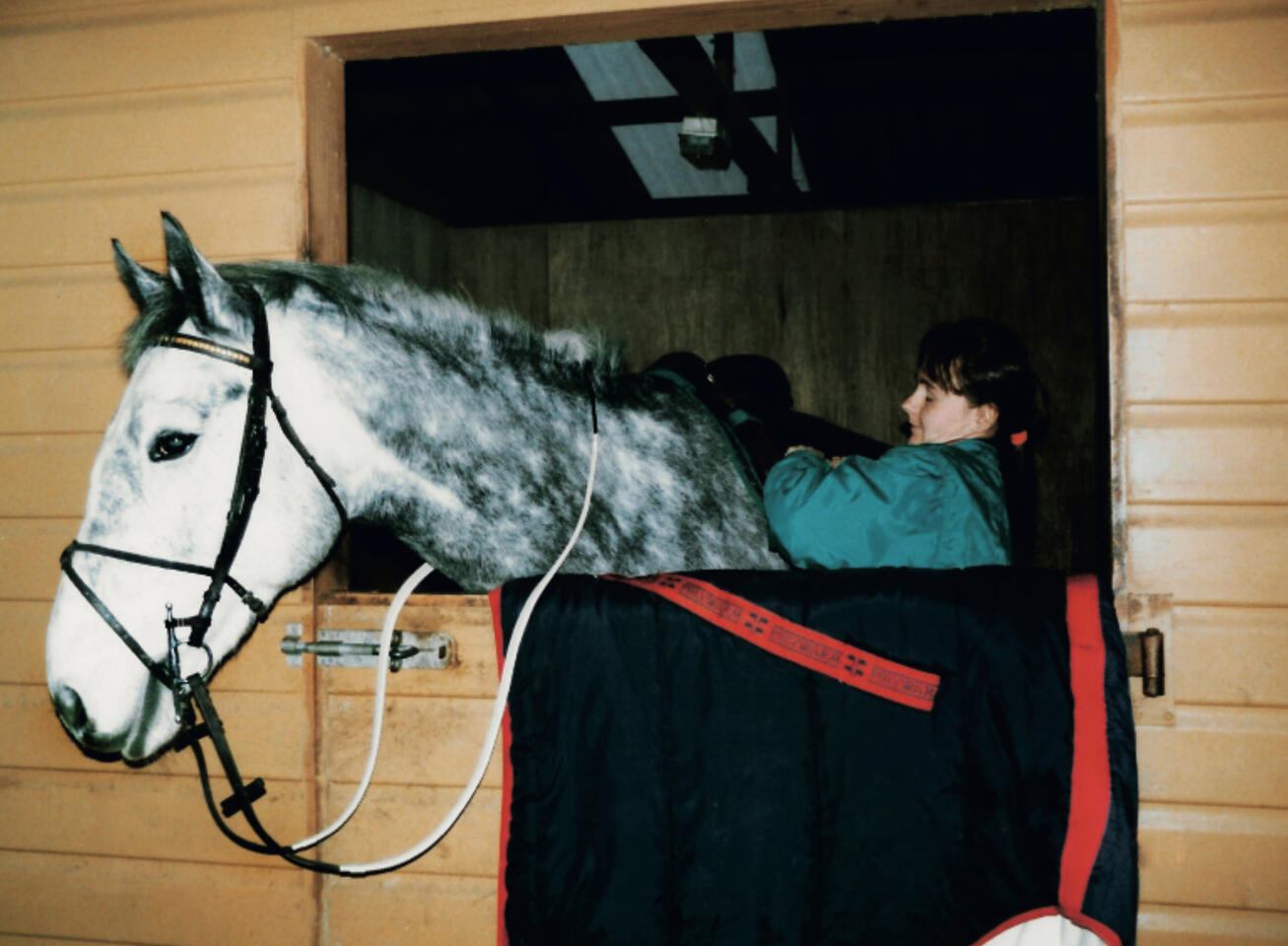 Sesky being untacked after one of our adventures