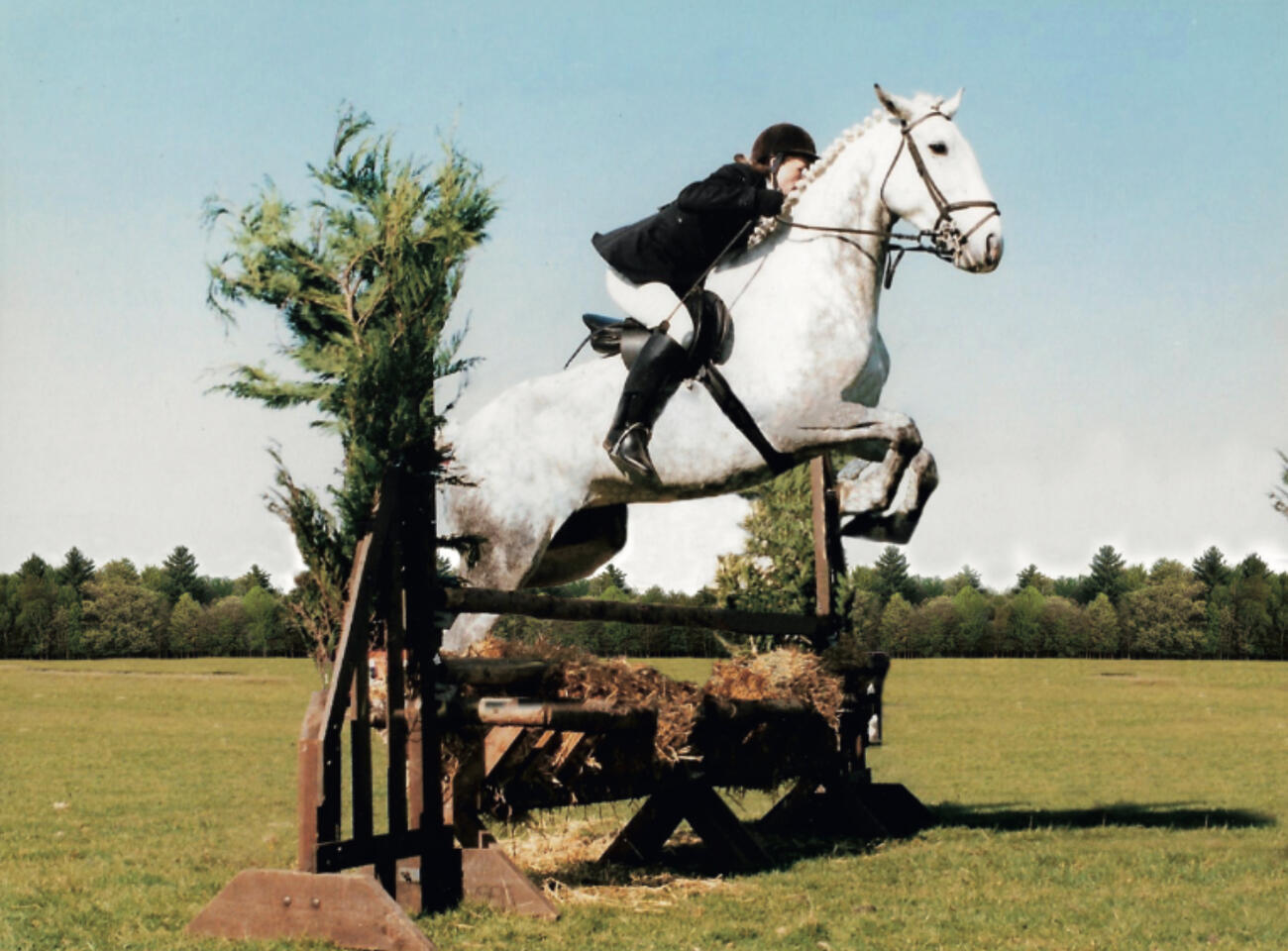 Sesky jumping her Working Hunter class